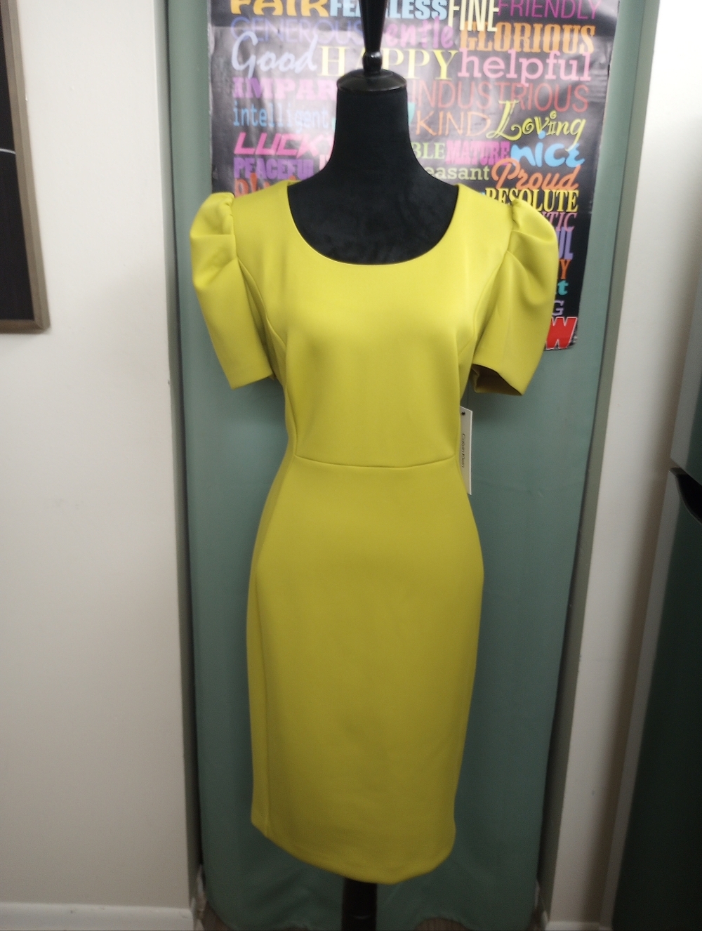 Kool Kiwi CK Dress